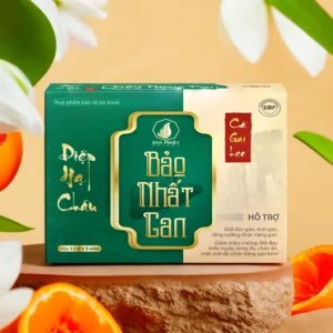 bao nhat gan 2