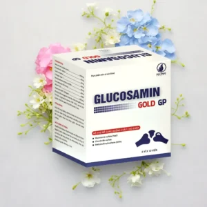 glucosamin 12 1