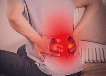 10 Bí Quyết Bổ Thận Âm Hiệu Quả Từ Thiên Nhiên